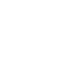 cNed
