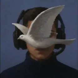 pazpeaceful1