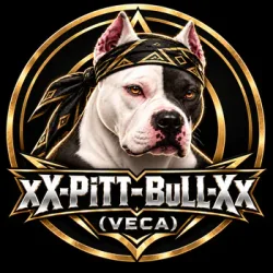 PiTTxBuLL