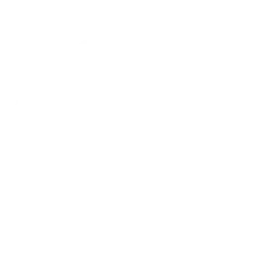 Albi1985