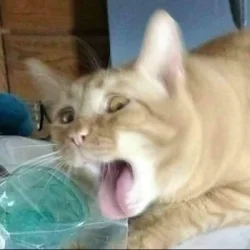 ShamiiPlay