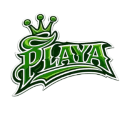 PlayaChannel