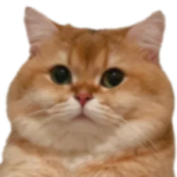 CatFishXP