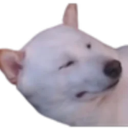 DannySoSpicy