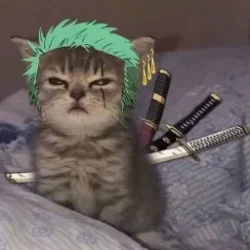 SoySatux