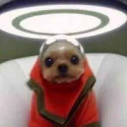 Patiro