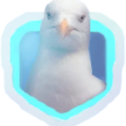 A_Seagull