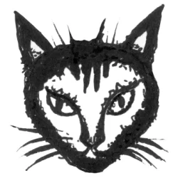 NecroCaticGames