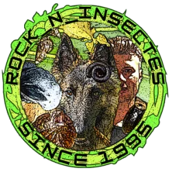 rock_n_insectes