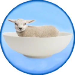 Lamb__Chowder
