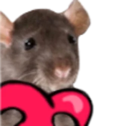 HyperRatTV