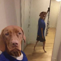 xkacperskycs