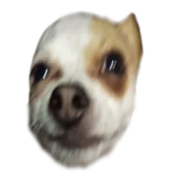 BrooberGaming