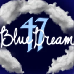 BlueDream47