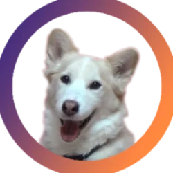 TaisonTV