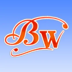 Bittwizard
