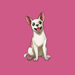 pinkrafa