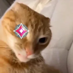 zekromfrr