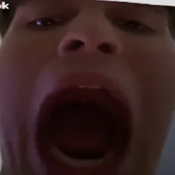 vortrex