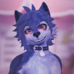 KAYSR_