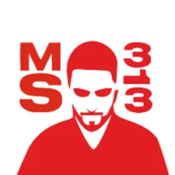 Medicshow313