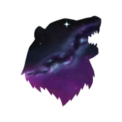 ItsSolarBear