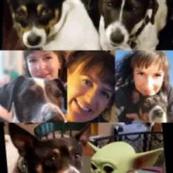 LYNDAinfj