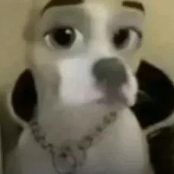 Glinted