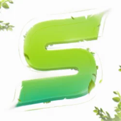 SALM1NN